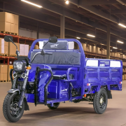 Грузовая электрическая тележка(электротрицикл) Rutrike D4 1800 60V1200W